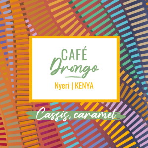 Café de spécialité Drongo process nature aux notes cassis et de caramel, région Nyeri du Kenya