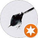Photo de profil de Branka